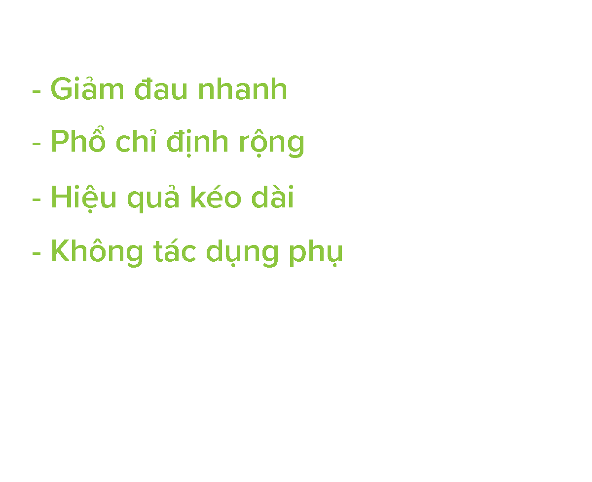 noidung2xx2x